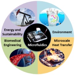 applictions of micromodels