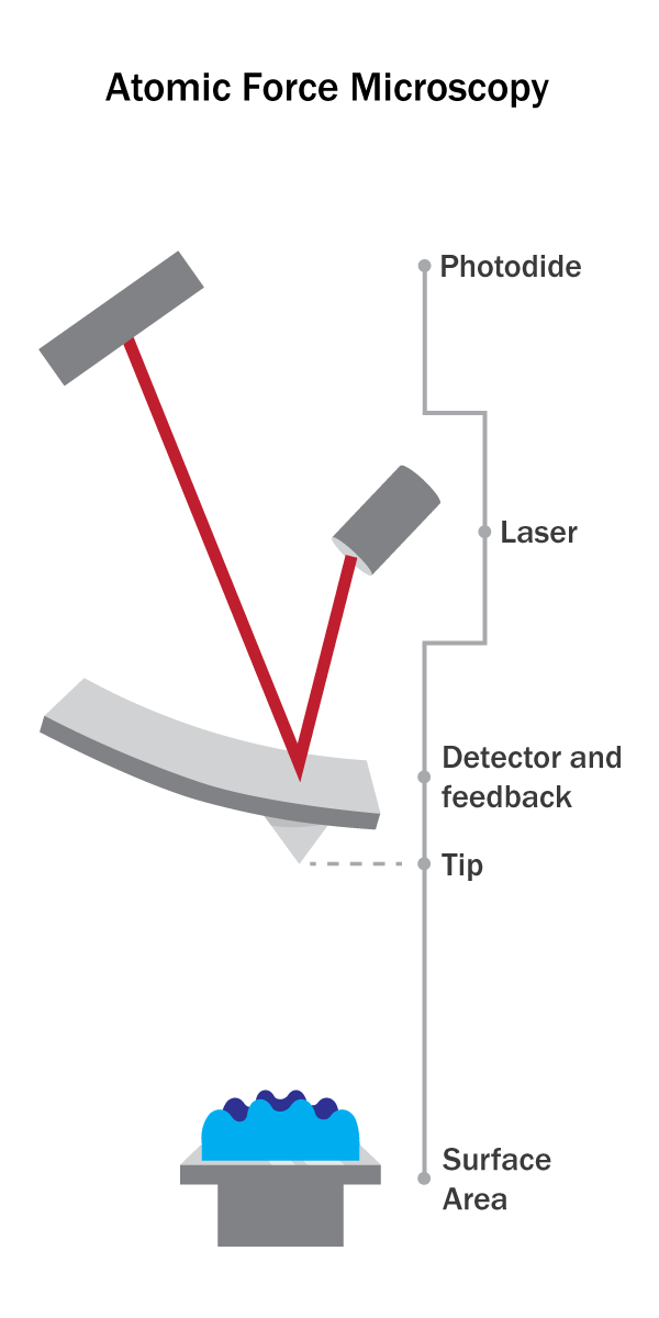 Illustration of Atomic Force Microscopy