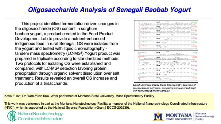 Slide recap of Katie Elliot's work