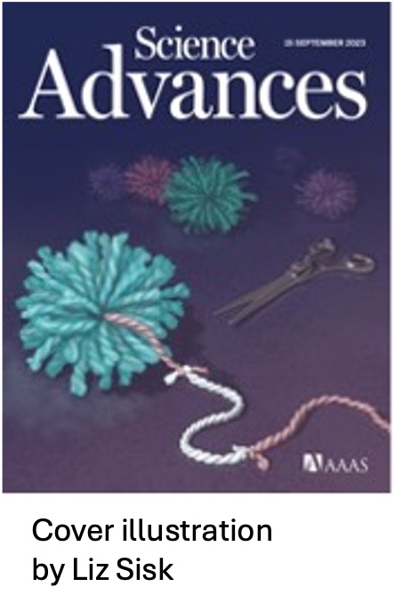Cover of Science Advances Journal featuring yarn representing RNA