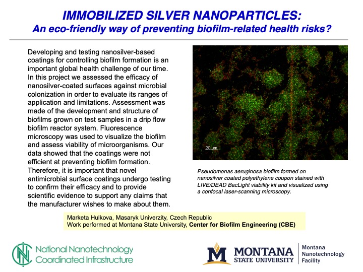 A slide detailing the work of M. Hulkova on silver nano particles